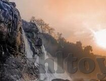 大象视频回家dx5-科技与自然共舞，大象视频回家DX5的非凡之旅