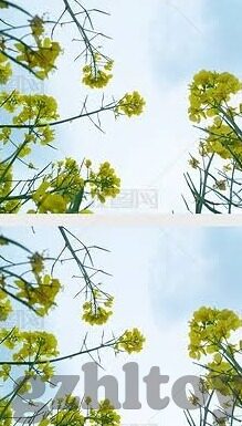 国产精品麻豆三级三级视频-界线与责任
