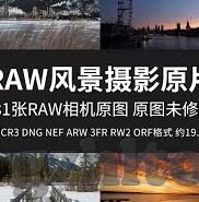 麻豆av无码精品一区二-探索网络世界的多元繁荣