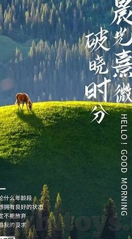 麻豆视频高清免费-麻豆视频，高清免费的网络新视界