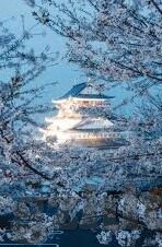人妻av一区二区三区精品-人妻角色的多维度探索，一区、二区、三区的情感与艺术