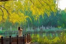 糖心app会员账号分享-随心与共享的矛盾